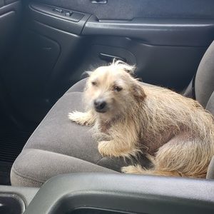 Meet your Posher, Jon